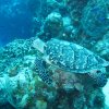img_2973