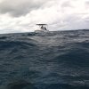 img_3004