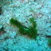 img_3104