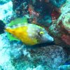 img_3195