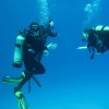 img_3528