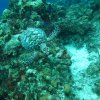 img_3660