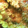 pb092659